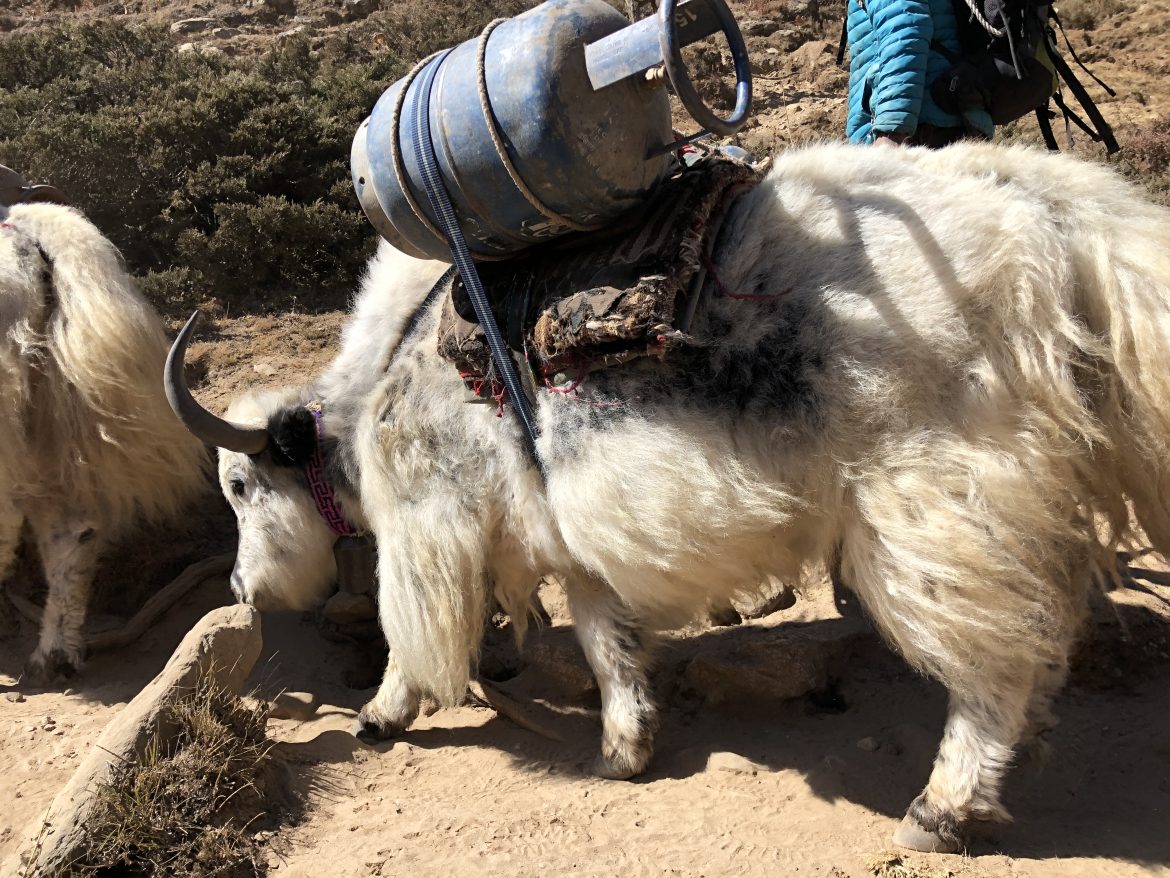 A58AA89F-6308-4B85-AD42-730165148294