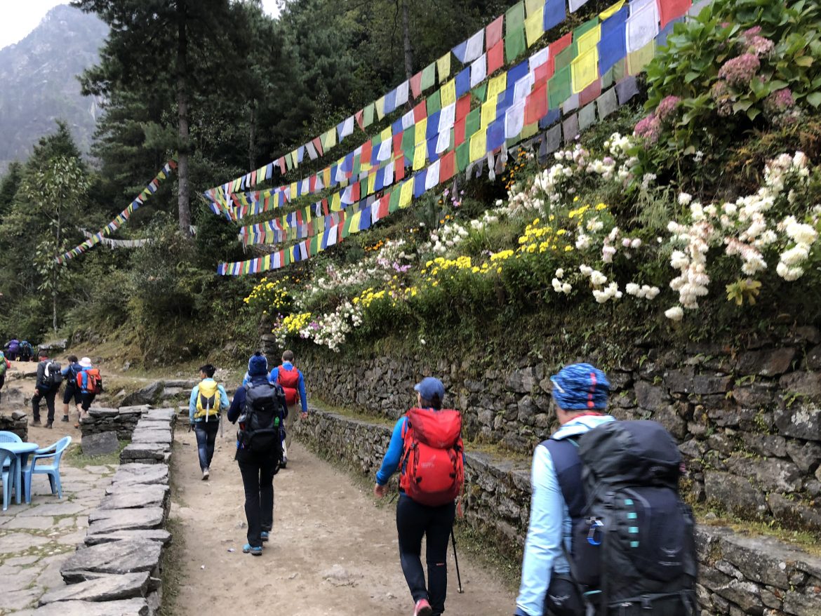 BB7D0EBA-FC65-4C5C-9128-10A1969EA183