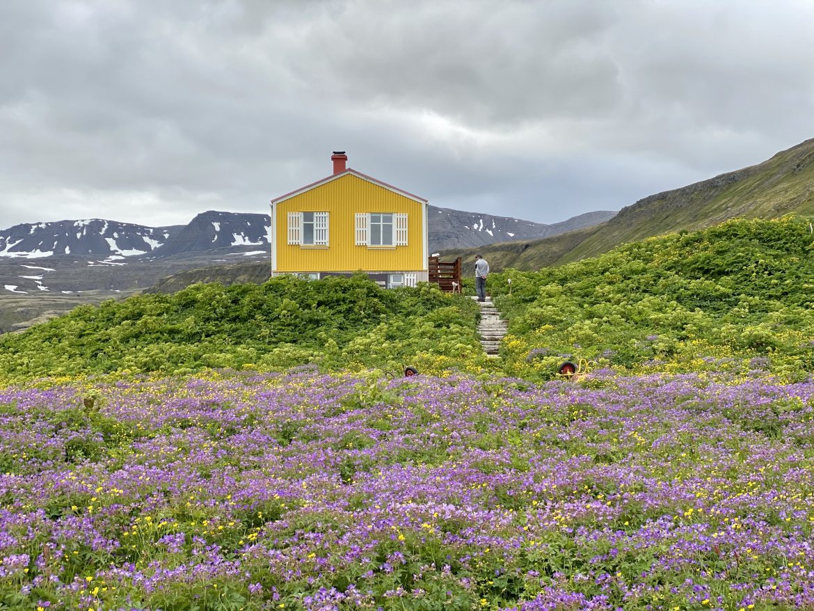 4089E781-D3CB-4BD4-B959-D68C99E8B7AD