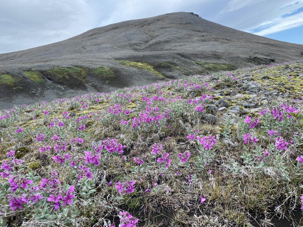 A1497990-5401-4571-A869-2AF1441AC5FE