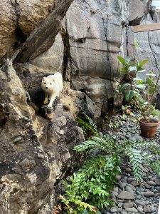 4F9C4697-DAB1-4B3C-B2AD-87C55DEA522C