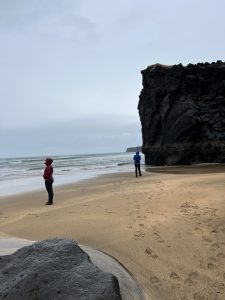 08FE3978-D67A-43CB-B9E9-CF7E442B370C