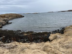 0DA582EB-0F7C-4A74-9DF7-381CDA6D230D