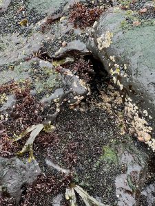 13412952-45E0-407E-9085-58C662F8C5E7