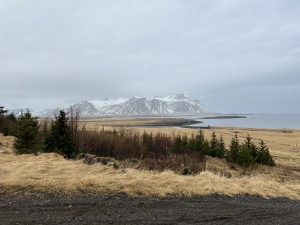 1B8DC746-AC1E-4F24-B643-3F3D35314BD0