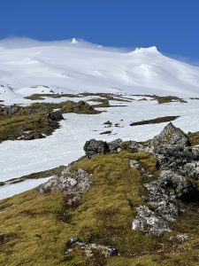 2322A024-45D5-4CE9-B083-FAB53E58FF5A