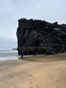 258D81CB-0555-46FC-833A-687B4E0C20D8