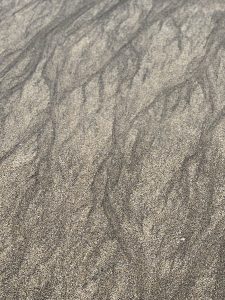 28211081-542A-4EB3-AB18-2EDFC19C116C