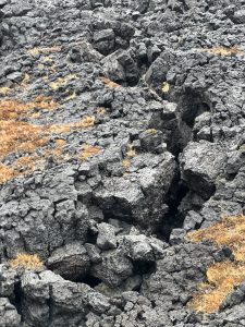 5423D4CC-59E0-455E-B457-21F95EADE457