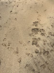 562CC5FC-5578-408C-A612-B4136D26B05D