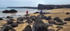 71413E21-2451-4BD7-A48C-F5C03212EFFE