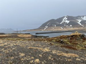 7B81A964-81B3-4F9F-AFF6-D82C1E7A2F6C