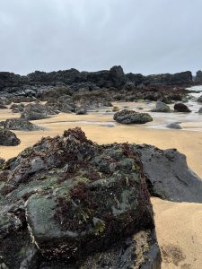 8A76E9BE-83E3-45E6-82D7-7FB4611D5194