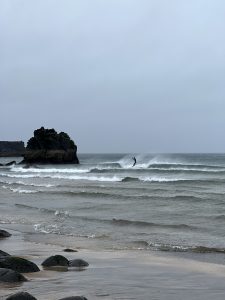 A3E13981-3D19-47F2-A9E5-BA3E51127524