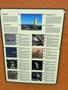 AAA5F553-2487-4170-B60B-71A8775297FE