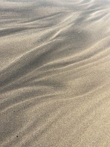 CC4F66FC-90A3-47BA-B2AF-320840AD047D