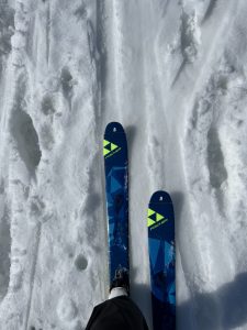 D31465E9-199E-4444-B22A-429B65CC65E2