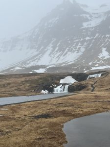 DAB13183-D118-4CAD-80A1-EEA079EAE6FD