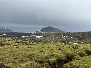 E039C2C1-123C-4FDE-8121-D703CAC465A6