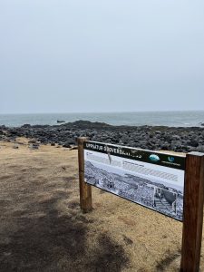 E2C2A288-69E9-4CEF-BC05-23D9D49698AC