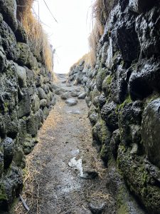 ECB9B62C-F5AB-40CA-80D3-8071AFB4F04C