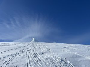 F221733A-6209-403E-8B54-9389319C673E