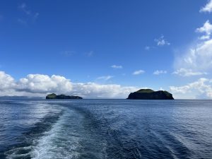 04D4CAA6-67BF-421A-A197-C44A949E016D