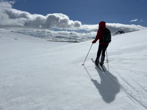 0CF429AB-1936-4C14-9D38-6663C4BB3578