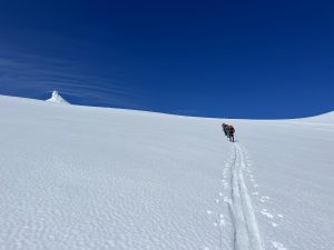 18C937BE-3B01-4EE8-B773-95E72A9A4BEA