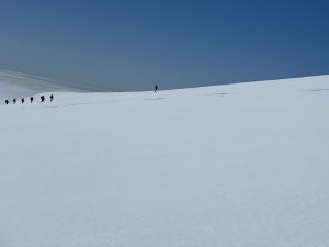 1D246543-8735-4A7D-B38B-A176939BDDE6