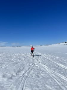 20077312-008C-440C-89C1-5B2F2E116F33