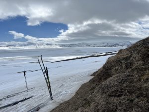 225567B8-A3F4-4FF8-A463-C2045FA8EB5D