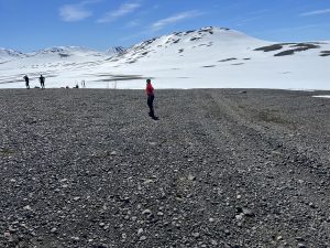 2AAD42E0-4688-481E-8124-537E15582D87