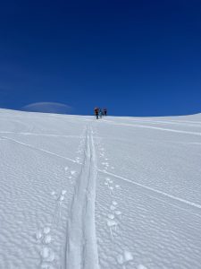 4978D6F2-CEB9-42D8-9FC6-1F96081029A5