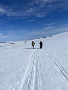 4C132F42-FE06-42A0-87CE-0FC185C8ED28