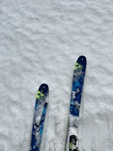 77FBD0BA-7407-4335-A1DC-0AFE8C6AF150