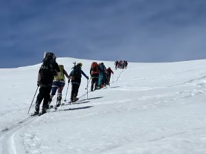 7FEA4393-089F-41FD-A740-00D086C39751