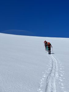 8BF58843-B6DB-43E4-A799-2B917233BFA6