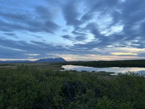 B46A34C9-2A66-4AA2-B593-D44226F82B9F