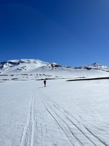 BB570A21-2BB4-480A-8714-1EC1E3A7A7FC