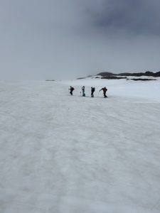 BF52229B-CA5D-4086-BAF6-958D01F5D053