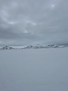 C2EEDF95-9AE2-4CAB-ADBA-239AA7C27F9D