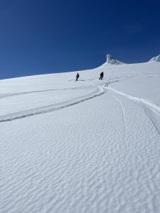 C9D96E95-4172-4F8F-A6CC-A12D77FF1BAE