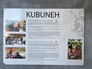 D3968A0D-16DA-4C68-8F4C-4A959C9AE20B