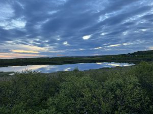 DDEE66D8-2084-418F-8BFE-2753CD94598F