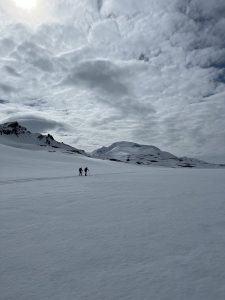 E289DB08-5C1B-4D66-BCC4-7AB7F6C4525C