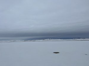 E8ED7FAA-9978-465E-AB8C-1C6433B608D7