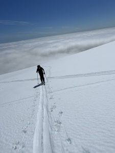 EB9FD7F5-A6E6-40D2-B0F7-22C0F963201A