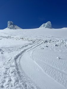 EDA3C3E3-30FD-4B3D-BD5D-CB81E5789989