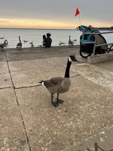 351AD412-0944-4B37-83A5-DA84A5645D63